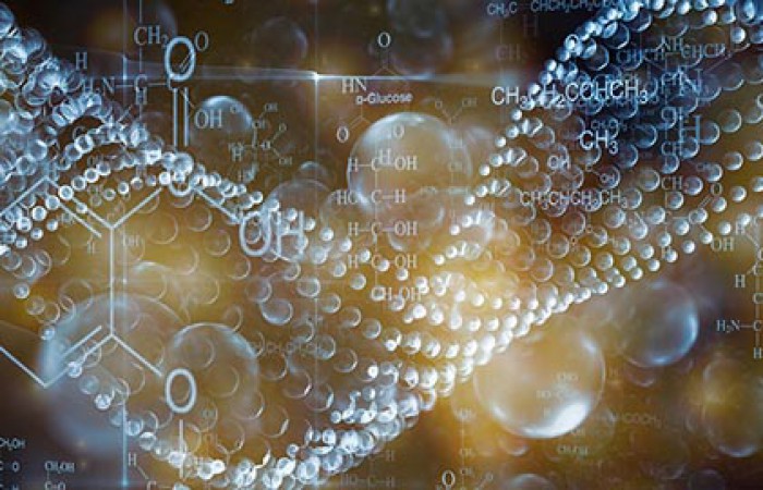 Kabay János középiskolai biológiaverseny